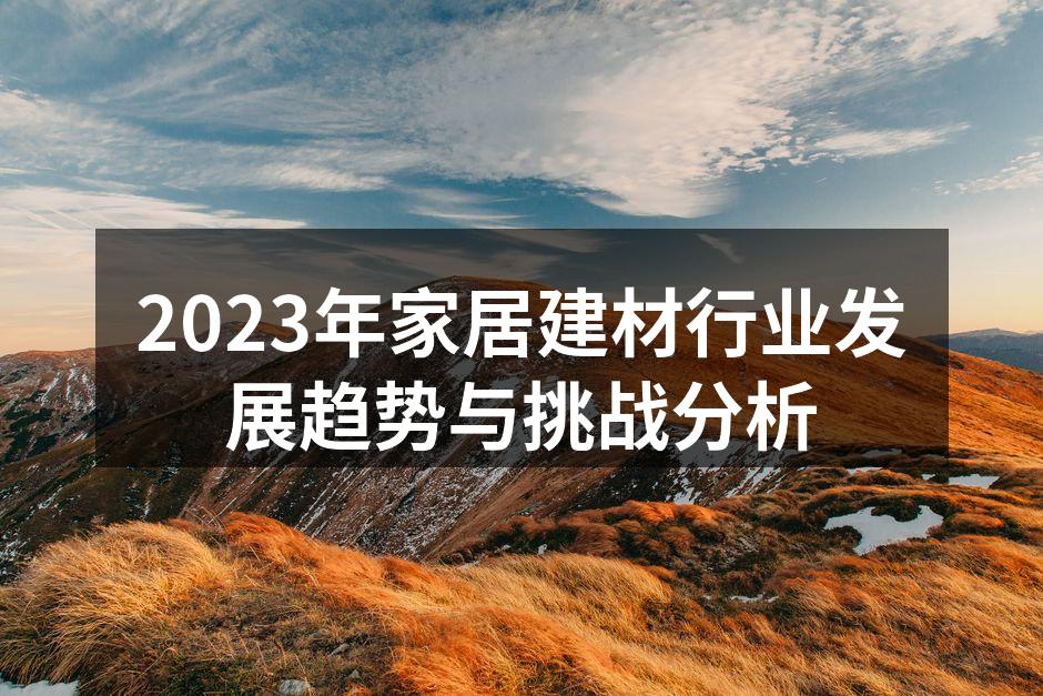 2023年家居建材行业发展趋势与挑战分析